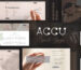 01-accu-new.__large_preview.jpg